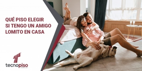 Qué piso elegir si tienes lomitos en casa.