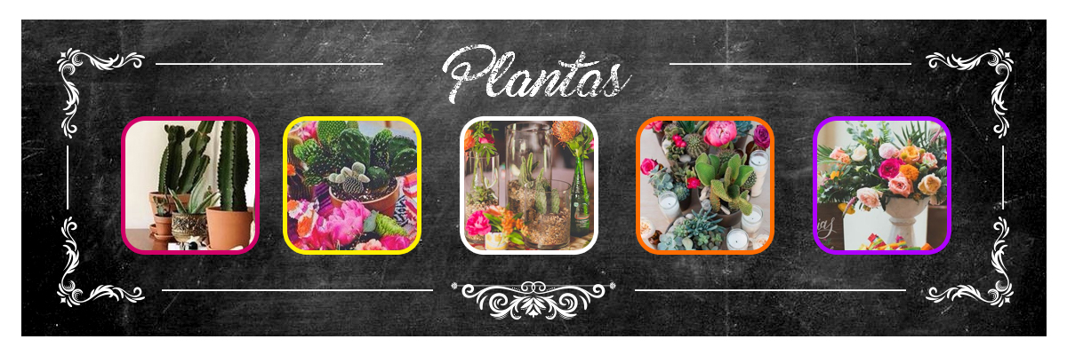 Plantas